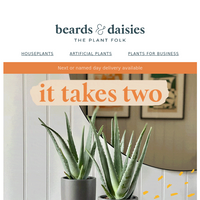 Beards & Daisies email thumbnail