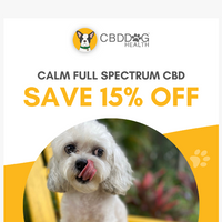 CBD Dog Health email thumbnail