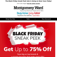 Montgomery Ward email thumbnail