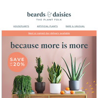 Beards & Daisies email thumbnail