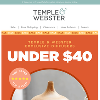 Temple & Webster email thumbnail