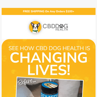 CBD Dog Health email thumbnail