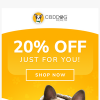 CBD Dog Health email thumbnail