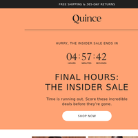 Quince email thumbnail