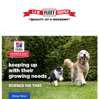 L&M Fleet Supply email thumbnail