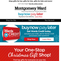 Montgomery Ward email thumbnail