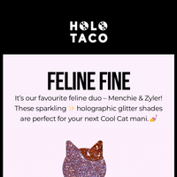 Holo Taco email thumbnail