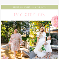 Ivy City Co email thumbnail