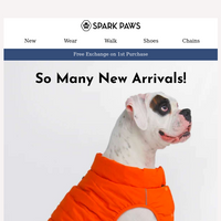 Spark Paws email thumbnail