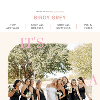 Birdy Grey email thumbnail