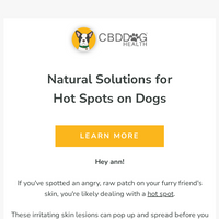 CBD Dog Health email thumbnail