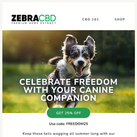 ZebraCBD email thumbnail