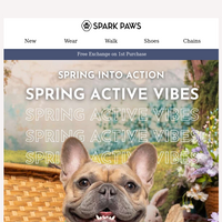 Spark Paws email thumbnail