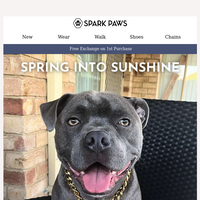 Spark Paws email thumbnail