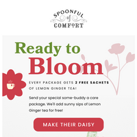 Spoonful Of Comfort email thumbnail