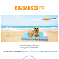 Big Barker email thumbnail