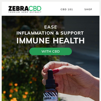 ZebraCBD email thumbnail