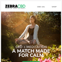 ZebraCBD email thumbnail