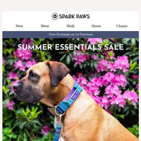 Spark Paws email thumbnail
