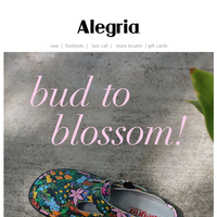 Alegria shoes email thumbnail