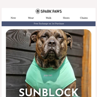 Spark Paws email thumbnail