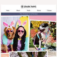 Spark Paws email thumbnail