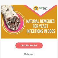 CBD Dog Health email thumbnail