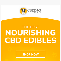 CBD Dog Health email thumbnail