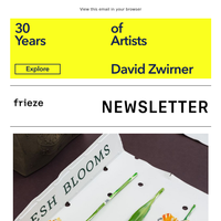 Frieze email thumbnail