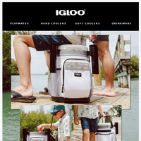 Igloo Coolers email thumbnail