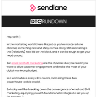 Sendlane email thumbnail