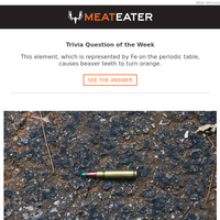 MeatEater email thumbnail