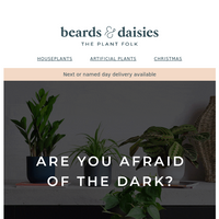 Beards & Daisies email thumbnail