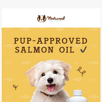 Natural Dog Company  email thumbnail