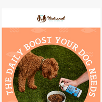 Natural Dog Company  email thumbnail