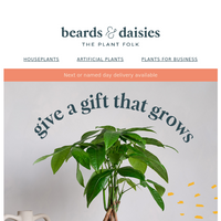 Beards & Daisies email thumbnail