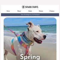 Spark Paws email thumbnail