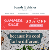 Beards & Daisies email thumbnail