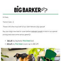 Big Barker email thumbnail