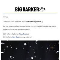 Big Barker email thumbnail