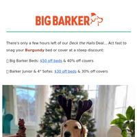 Big Barker email thumbnail