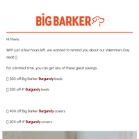 Big Barker email thumbnail