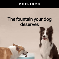 Petlibro email thumbnail