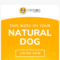 CBD Dog Health email thumbnail