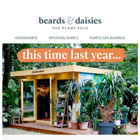 Beards & Daisies email thumbnail