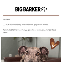 Big Barker email thumbnail