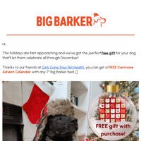 Big Barker email thumbnail