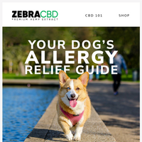 ZebraCBD email thumbnail