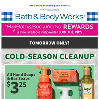 Bath and Body Works email thumbnail