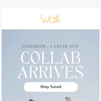 Walli Cases email thumbnail